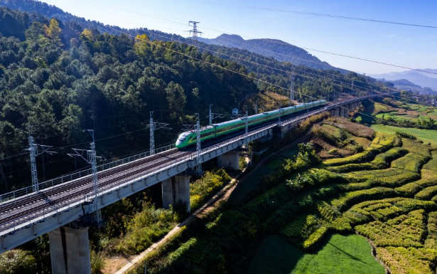 12054_$1764929809550042788.png 12054.png