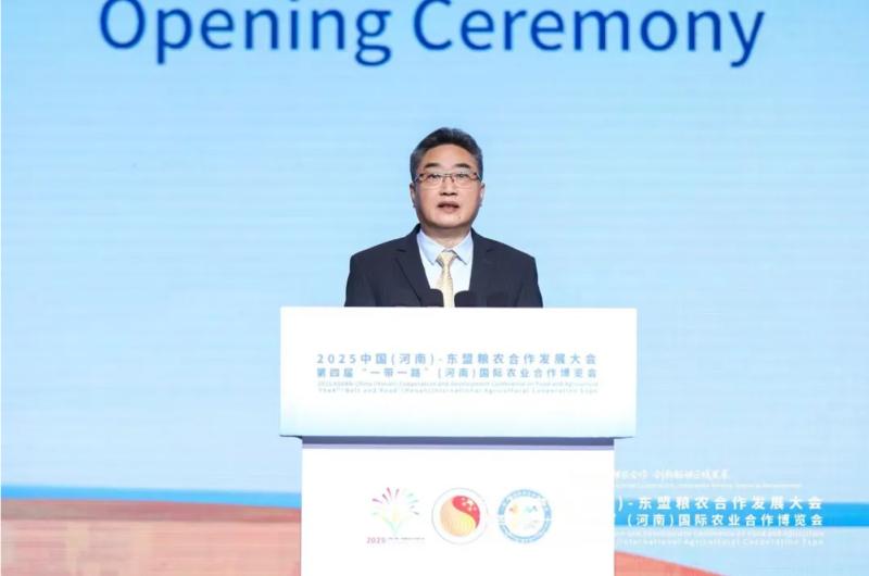 03063_$1772760675403056242.jpg 03063.jpg