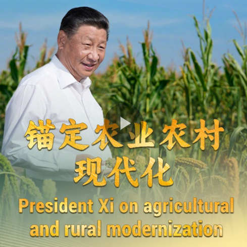 image_$1772586795492030962.png image.png