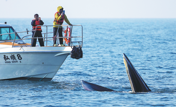 image_$1775118925022003590.png image.png